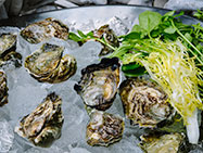 Chilled Seasonal Oysters